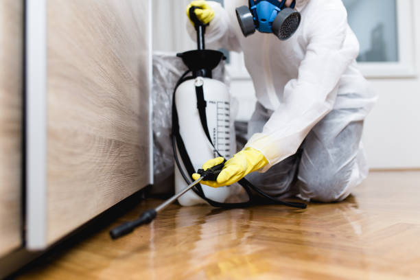  Eastern Goleta Valley, CA Pest Control Pros