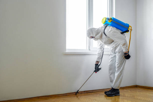 Best Termite Control Services  in Eastern Goleta Valley, CA